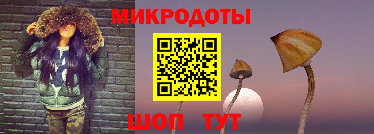 Галлюциногенные грибы Psilocybine cubensis  Вход с VPN  Галлюциногенные грибы Cubensis  купить наркотики цена  Кингисепп 