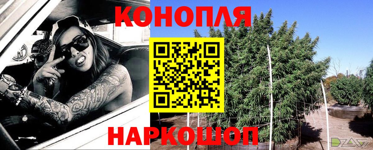 Канабис тримм  Шишки марихуана конопля  Бошки марихуана ГИДРОПОН  Кингисепп  Вход с VPN 